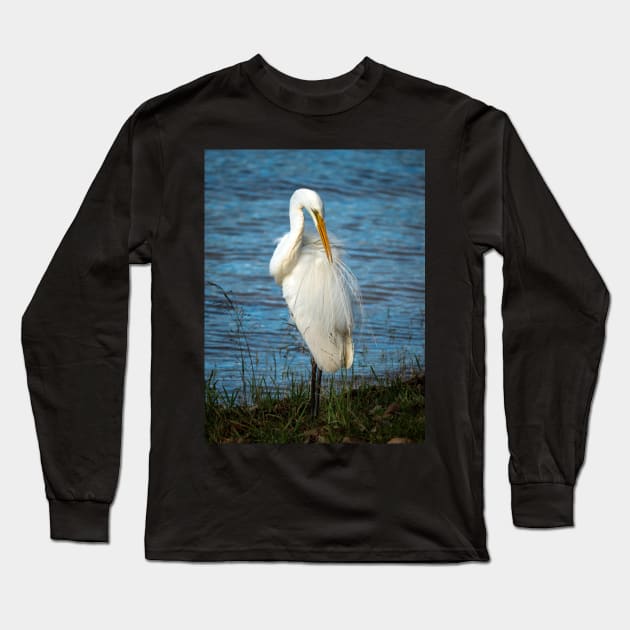 Eastern Great Egret, Maleny, Queensland Long Sleeve T-Shirt by AndrewGoodall